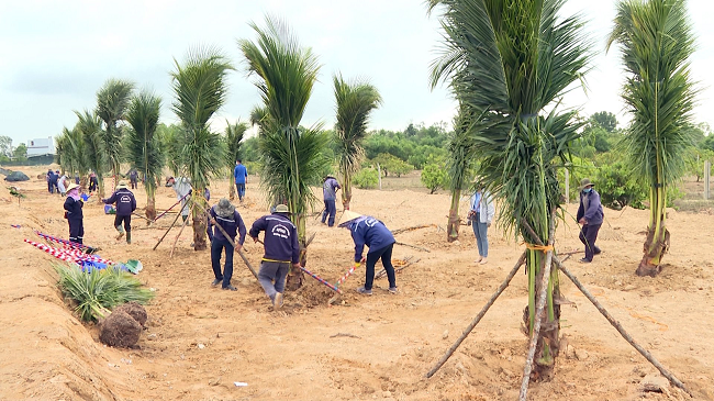 Quảng Ngãi: Phát động trồng gần 15.000 cây xanh trên tuyến đường Trì Bình - Cảng Dung Quất