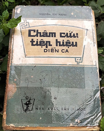 ÔNG TỔ CHÂM CỨU VIỆT NAM